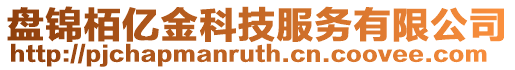 盤錦栢億金科技服務有限公司