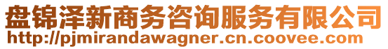 盤(pán)錦澤新商務(wù)咨詢服務(wù)有限公司