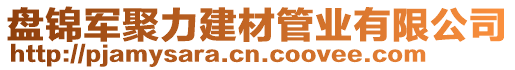 盤(pán)錦軍聚力建材管業(yè)有限公司