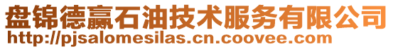 盤(pán)錦德贏石油技術(shù)服務(wù)有限公司