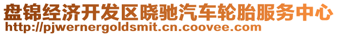 盤錦經(jīng)濟開發(fā)區(qū)曉馳汽車輪胎服務(wù)中心