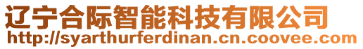 遼寧合際智能科技有限公司