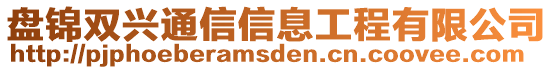 盤錦雙興通信信息工程有限公司