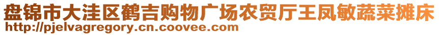 盤錦市大洼區(qū)鶴吉購物廣場農(nóng)貿(mào)廳王鳳敏蔬菜攤床