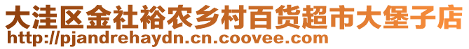 大洼區(qū)金社裕農(nóng)鄉(xiāng)村百貨超市大堡子店