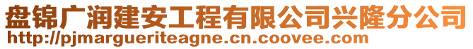 盤錦廣潤(rùn)建安工程有限公司興隆分公司