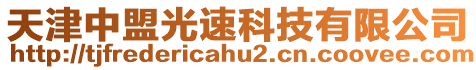 天津中盟光速科技有限公司