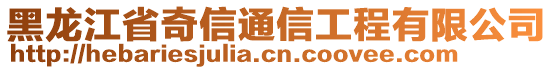 黑龍江省奇信通信工程有限公司