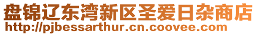 盤錦遼東灣新區(qū)圣愛日雜商店