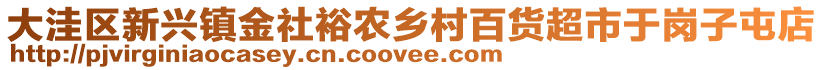 大洼區(qū)新興鎮(zhèn)金社裕農(nóng)鄉(xiāng)村百貨超市于崗子屯店