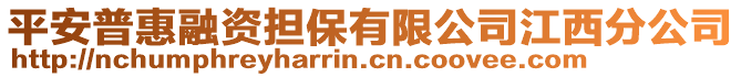平安普惠融資擔保有限公司江西分公司