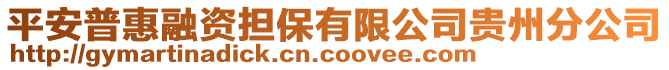 平安普惠融資擔保有限公司貴州分公司