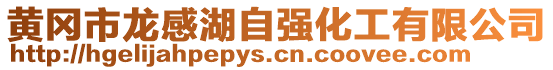 黃岡市龍感湖自強化工有限公司