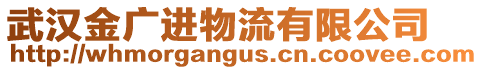 武漢金廣進物流有限公司