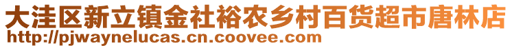 大洼区新立镇金社裕农乡村百货超市唐林店