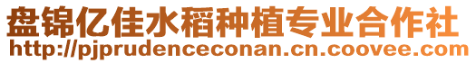 盤錦億佳水稻種植專業(yè)合作社