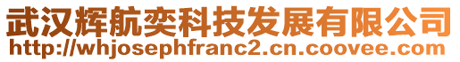 武漢輝航奕科技發(fā)展有限公司