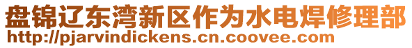 盤錦遼東灣新區(qū)作為水電焊修理部