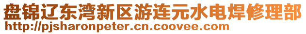 盤錦遼東灣新區(qū)游連元水電焊修理部