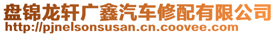 盤錦龍軒廣鑫汽車修配有限公司