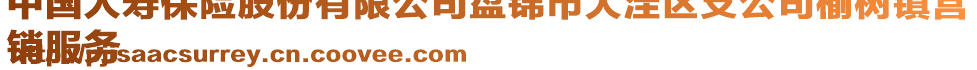中國人壽保險股份有限公司盤錦市大洼區支公司榆樹鎮營
銷服務