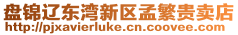 盤錦遼東灣新區(qū)孟繁貴賣店