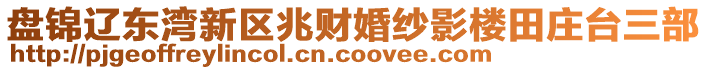 盤錦遼東灣新區(qū)兆財(cái)婚紗影樓田莊臺三部