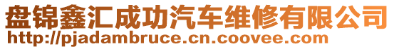 盤錦鑫匯成功汽車維修有限公司