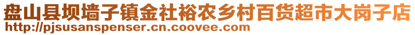 盤(pán)山縣壩墻子鎮(zhèn)金社裕農(nóng)鄉(xiāng)村百貨超市大崗子店