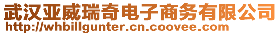 武漢亞威瑞奇電子商務(wù)有限公司