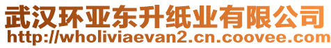 武漢環(huán)亞東升紙業(yè)有限公司