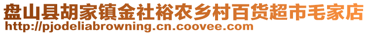 盤山縣胡家鎮(zhèn)金社裕農(nóng)鄉(xiāng)村百貨超市毛家店