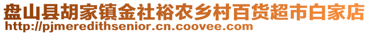 盤(pán)山縣胡家鎮(zhèn)金社裕農(nóng)鄉(xiāng)村百貨超市白家店