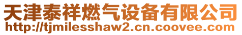 天津泰祥燃氣設備有限公司