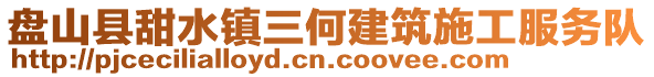 盘山县甜水镇三何建筑施工服务队