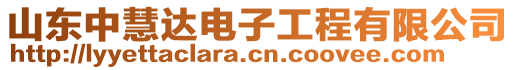 山東中慧達電子工程有限公司