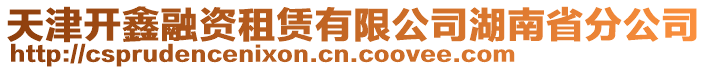 天津開鑫融資租賃有限公司湖南省分公司