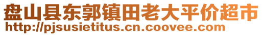 盤山縣東郭鎮(zhèn)田老大平價(jià)超市