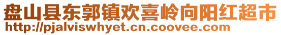 盤山縣東郭鎮(zhèn)歡喜嶺向陽紅超市