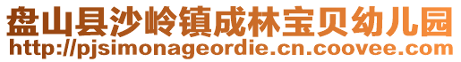 盤(pán)山縣沙嶺鎮(zhèn)成林寶貝幼兒園