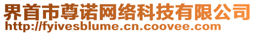 界首市尊諾網(wǎng)絡(luò)科技有限公司