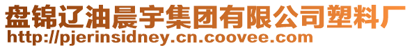 盤錦遼油晨宇集團有限公司塑料廠