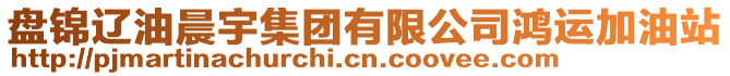 盤(pán)錦遼油晨宇集團(tuán)有限公司鴻運(yùn)加油站