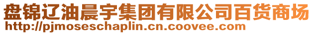 盤錦遼油晨宇集團(tuán)有限公司百貨商場(chǎng)