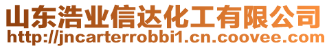 山東浩業(yè)信達化工有限公司