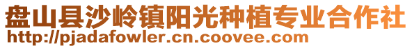 盤(pán)山縣沙嶺鎮(zhèn)陽(yáng)光種植專(zhuān)業(yè)合作社