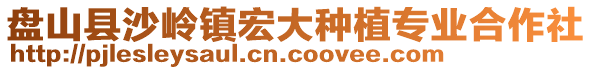 盤山縣沙嶺鎮(zhèn)宏大種植專業(yè)合作社