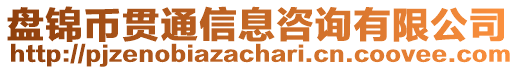 盤錦幣貫通信息咨詢有限公司