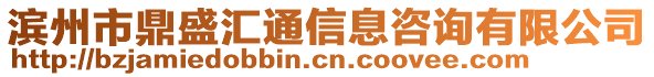 濱州市鼎盛匯通信息咨詢有限公司