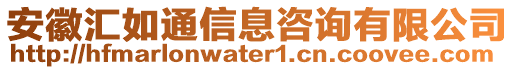 安徽匯如通信息咨詢有限公司